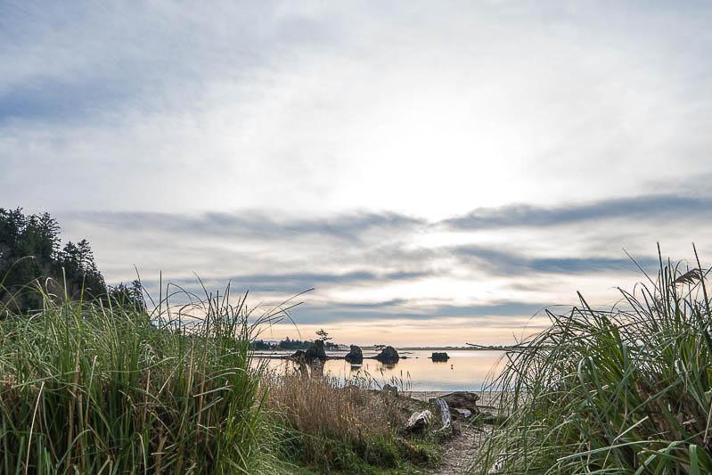 Birds Nest Suite Lincoln City Dış mekan fotoğraf